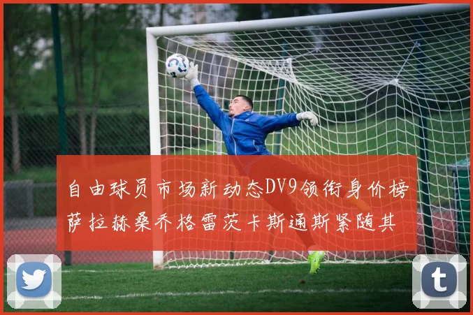 自由球员市场新动态DV9领衔身价榜萨拉赫桑乔格雷茨卡斯通斯紧随其后